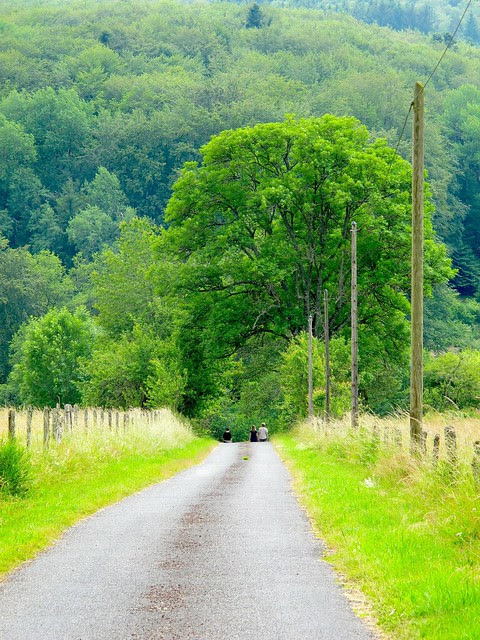 Auvergne