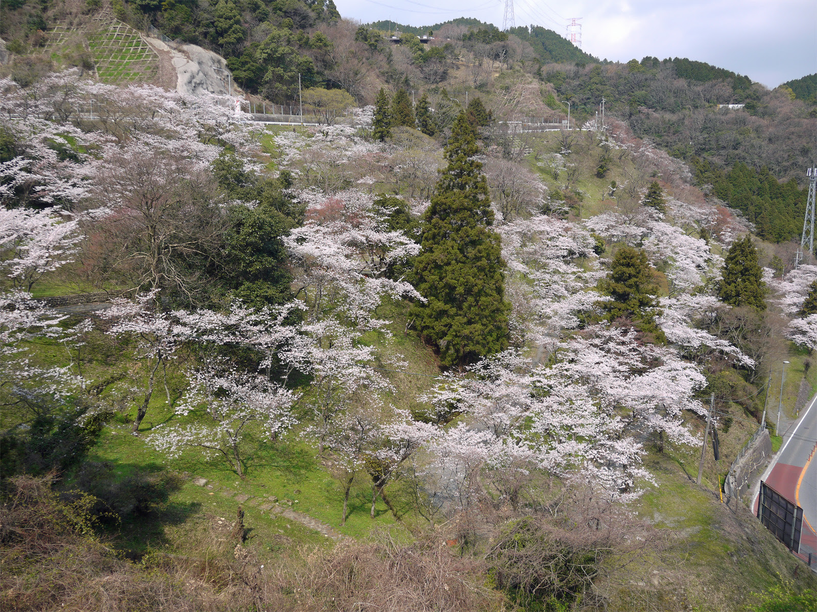 八木山展望公園と八木山峠の桜 福岡県飯塚市 糟屋郡篠栗町 福岡発 九州観光ガイド