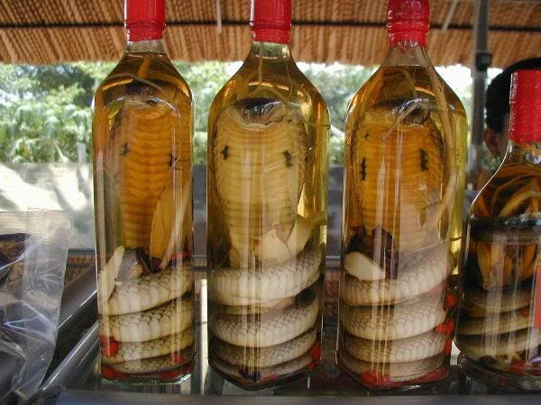 alcool de serpent Chine