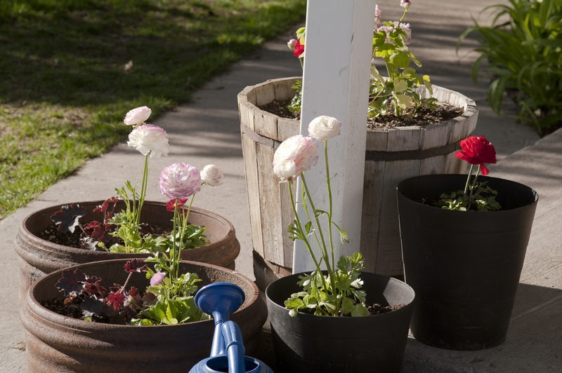 bMay042011_5111