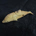 3D Scroll Saw Puzzle Patterns / 3d scroll saw puzzle patterns.