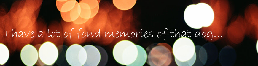 I have a lot of fond memories of that dog