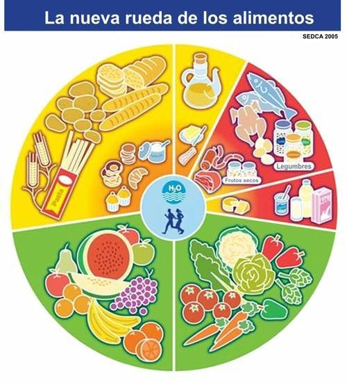 Alimentación alcalina  versus alimentos acidificantes