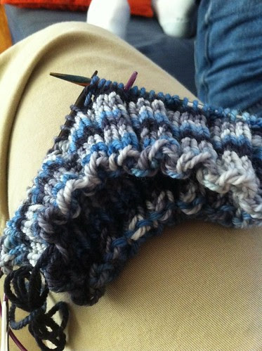 Sharks hat for Logan