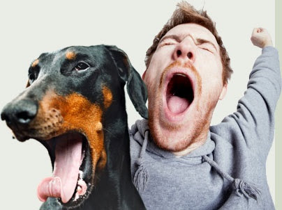 A Simple Guide On A Way To Stop Yawning