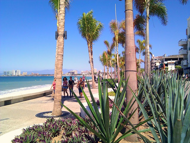 Saturday Morning in PV