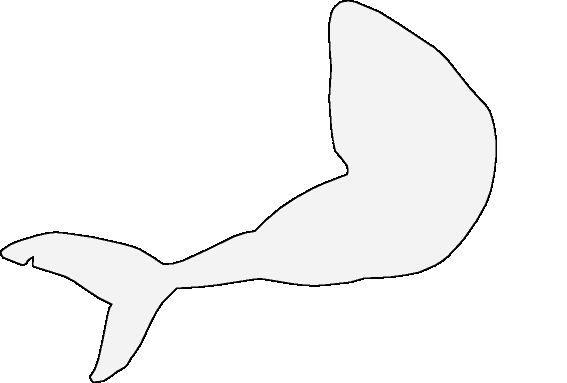Free 319 Outline Shark Fin Svg SVG PNG EPS DXF File