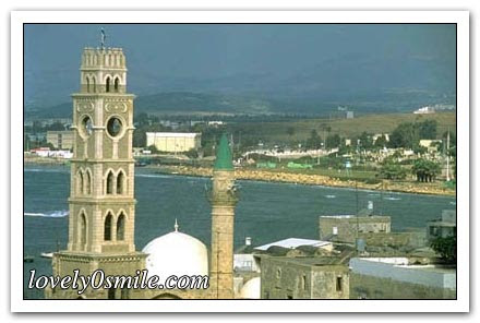 جولة في مدن فلسطين - صور