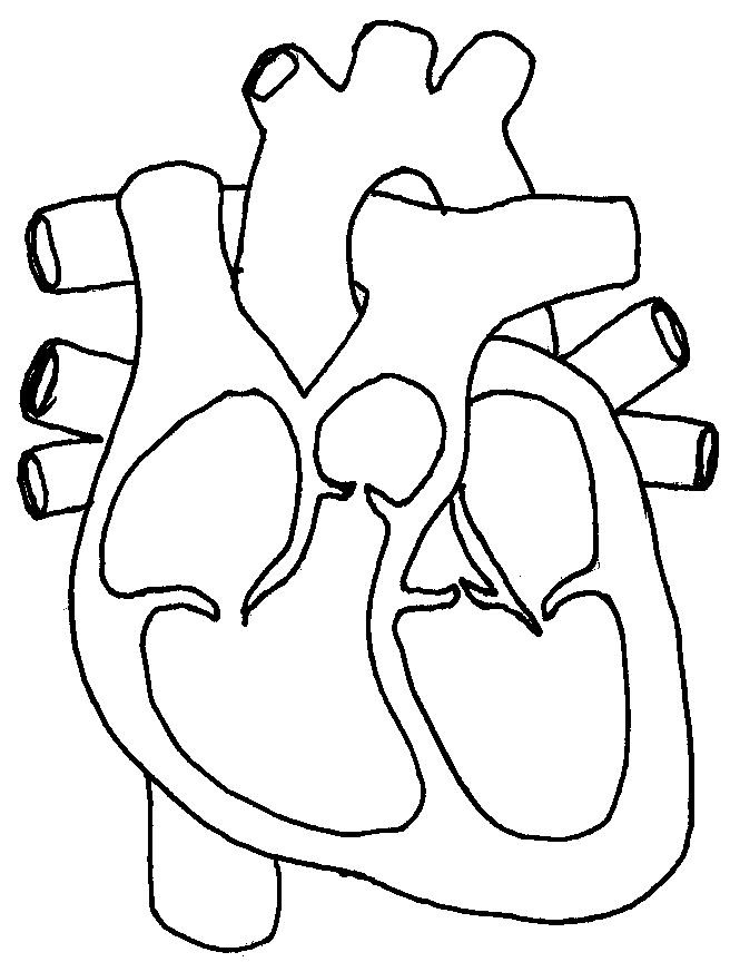 Free Black And White Heart Diagram, Download Free Black And ...