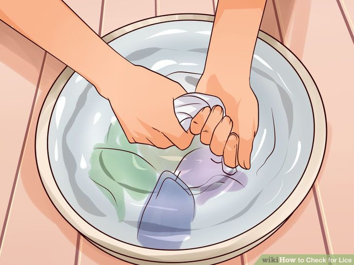 Check for Lice Step 29.jpg
