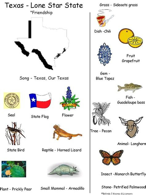  texas symbols worksheets for 1st grade