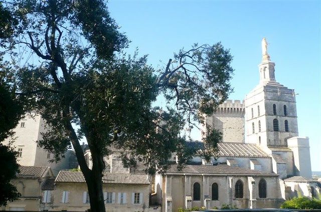 P1230365