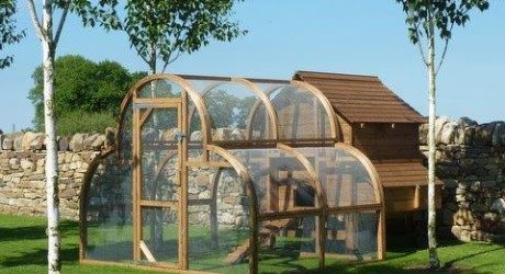... Poultry · Tagged: chicken run , FEATURED , plans for chicken coop ... Poultry · Tagged: chicken run , FEATURED , plans for chicken coop