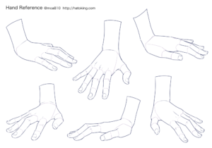 手のイラスト資料集 Hand Reference Hato King