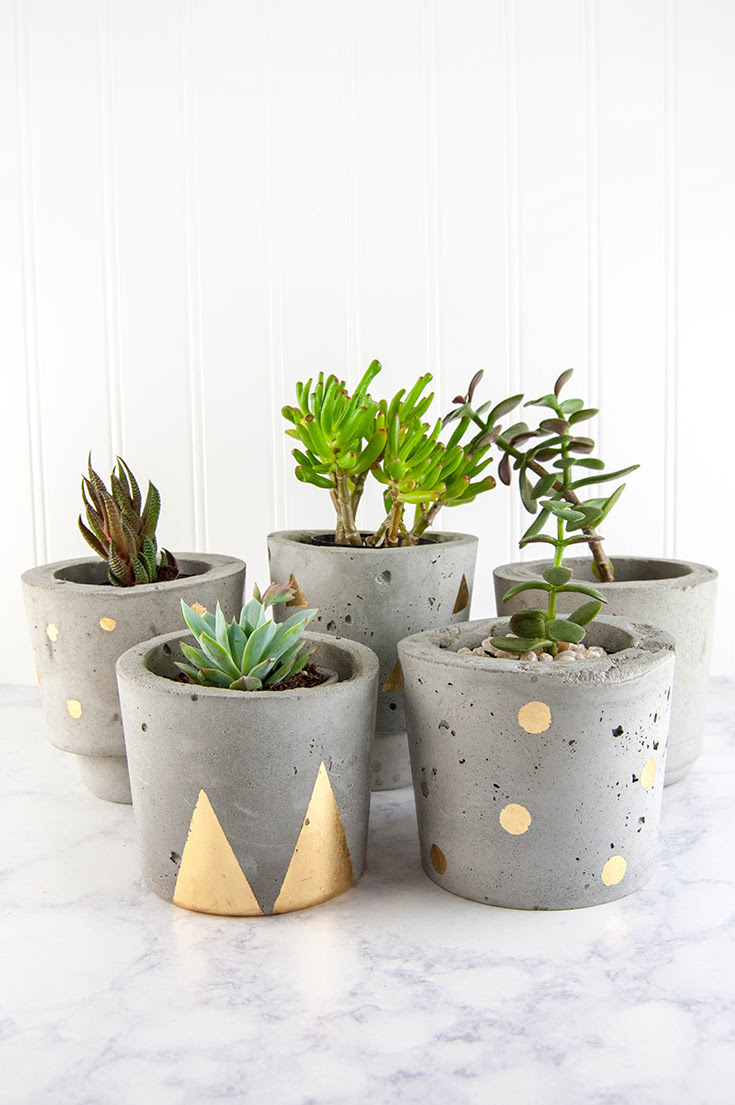Make Concrete  and Gold DIY Plant Pots 