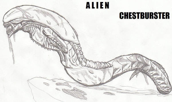 Download Xenomorph Predalien Coloring Pages Coloring Pages