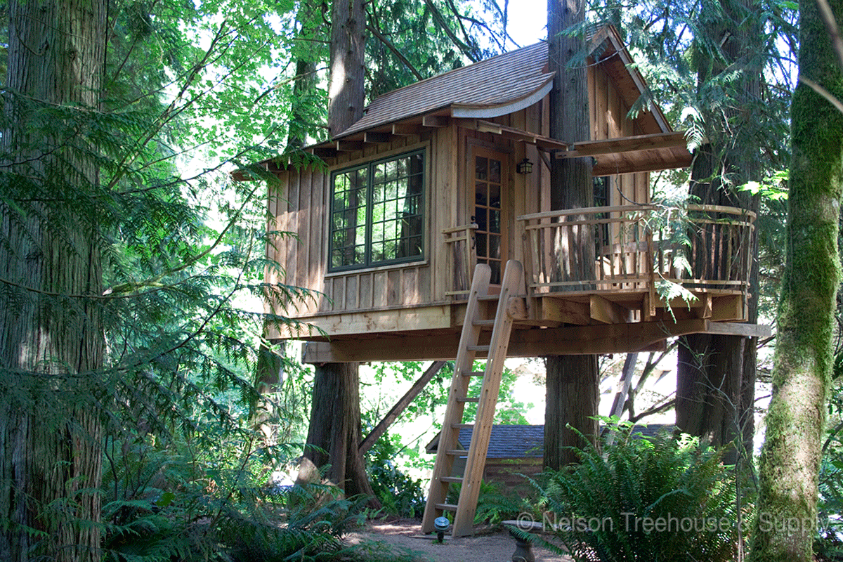 June 24, 2013  Tree House GetAWay  The Cellar
