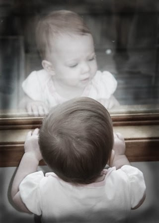 Delightful Reflection