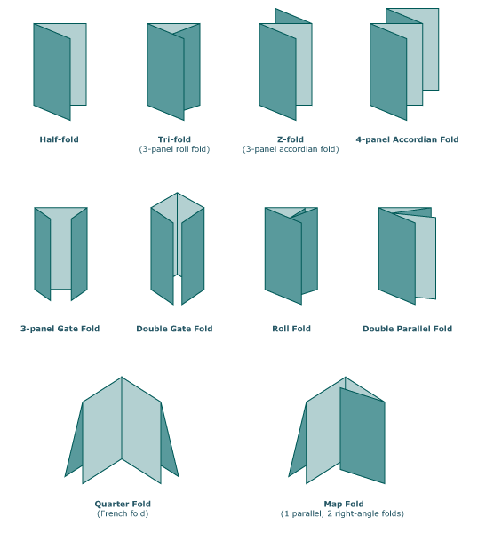 engin1000 / Camile's Project Spring2010