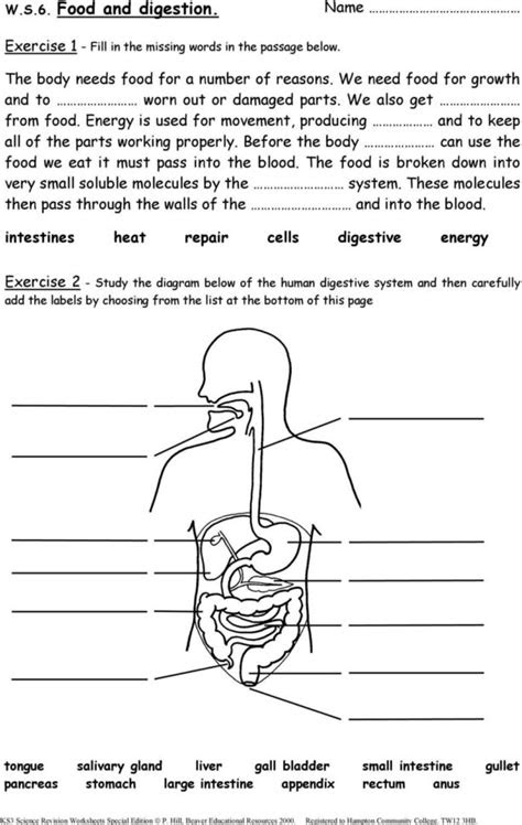  ks3 science revision worksheets pdf db excelcom ks3 science