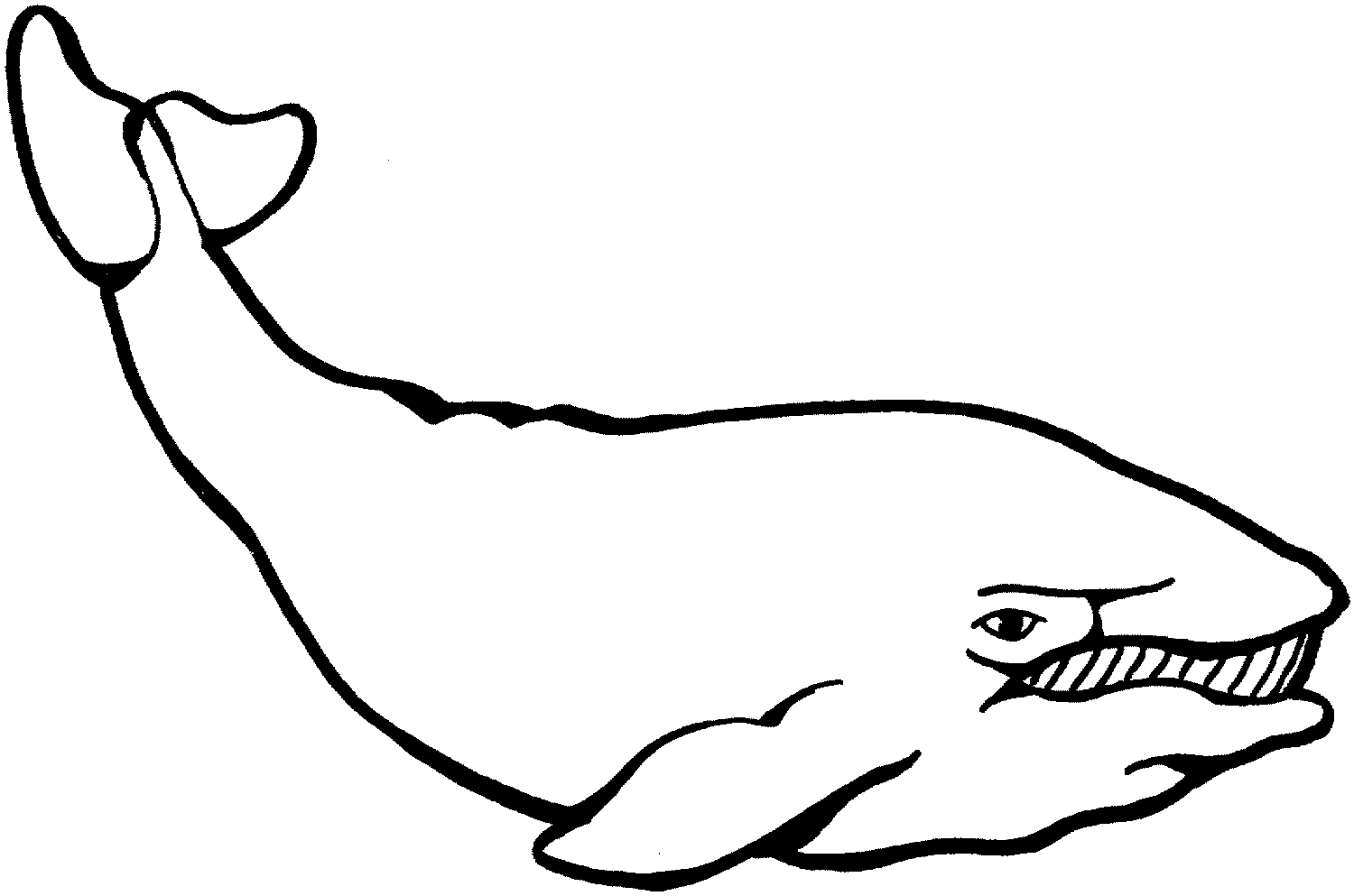 Download Free Whale Images For Kids, Download Free Clip Art, Free ...
