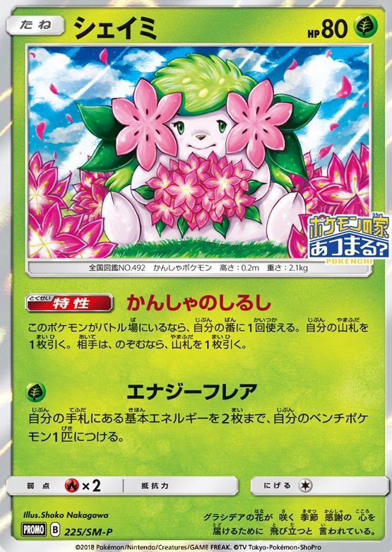 50 ポケモン シェイミ 主題 歌
