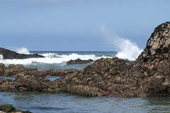 Cornwall 2007 #31