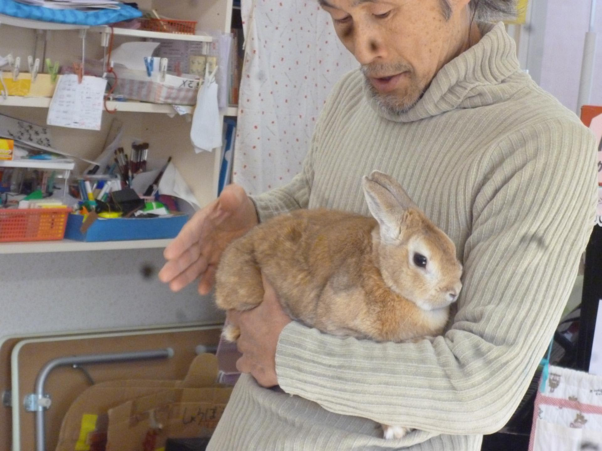 12/12 絵画指導 うさぎを描きました - こんにちは! 高洲です
