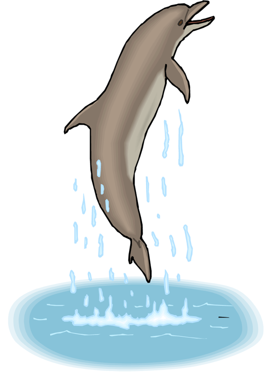 Free Dolphin Clipart