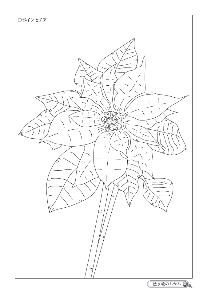冬の花ぬりえ 塗り絵のじかん