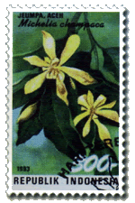 Bunga Jeumpa Flora Maskot Provinsi Aceh Bunga Jeumpa Flora Maskot Provinsi Aceh