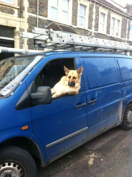 Gambar Foto Unik Lucu Keren Aneh Hari