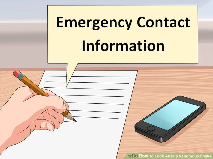 Look After a Venomous Snake Step 5 Version 2.jpg