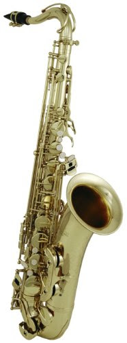  Roy Benson Student Pro Series Saxophone Soprano en Sib SS-101