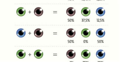 the colour of your future childrens eyes eye color chart eye color