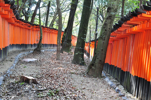 Kyoto