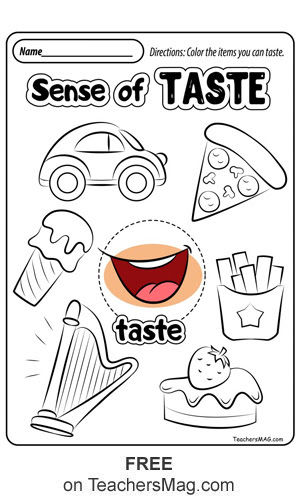 Free Five Senses Worksheets. TeachersMag.com