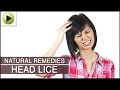 How to treat lice!! How to prevent lice! You may have all of these