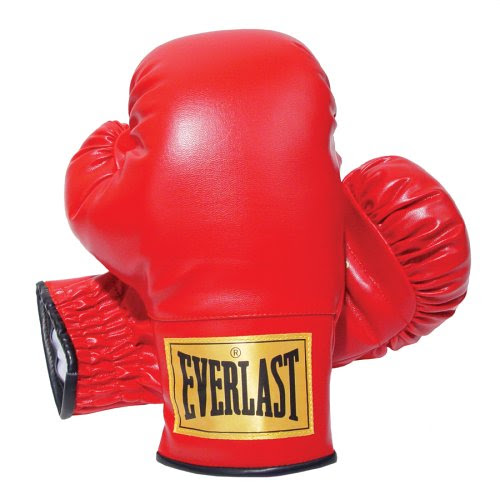 Everlast 14oz Slip-On Boxing Gloves