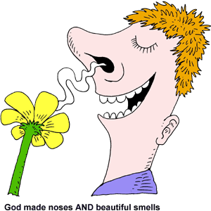 cartoon images nose