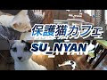 √ 猫 カフェ 枚方 344242-猫���フェ 枚方市