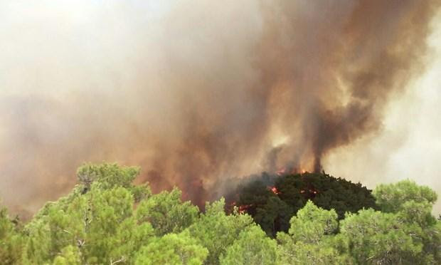 Antalya Da Orman Yangini