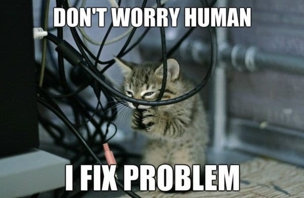 years 21 days ago http meme lol com funny funny pictures cat engineers