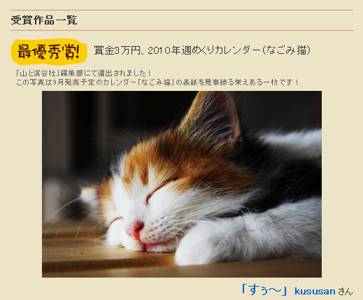 なごみ猫 フォトコン 最優秀賞 小梅パパのフォトログ 猫撮りや です 楽天ブログ