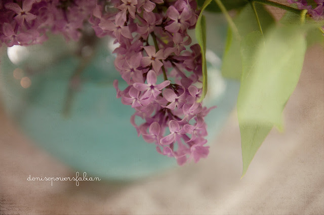 Lilacs on Mother's Day