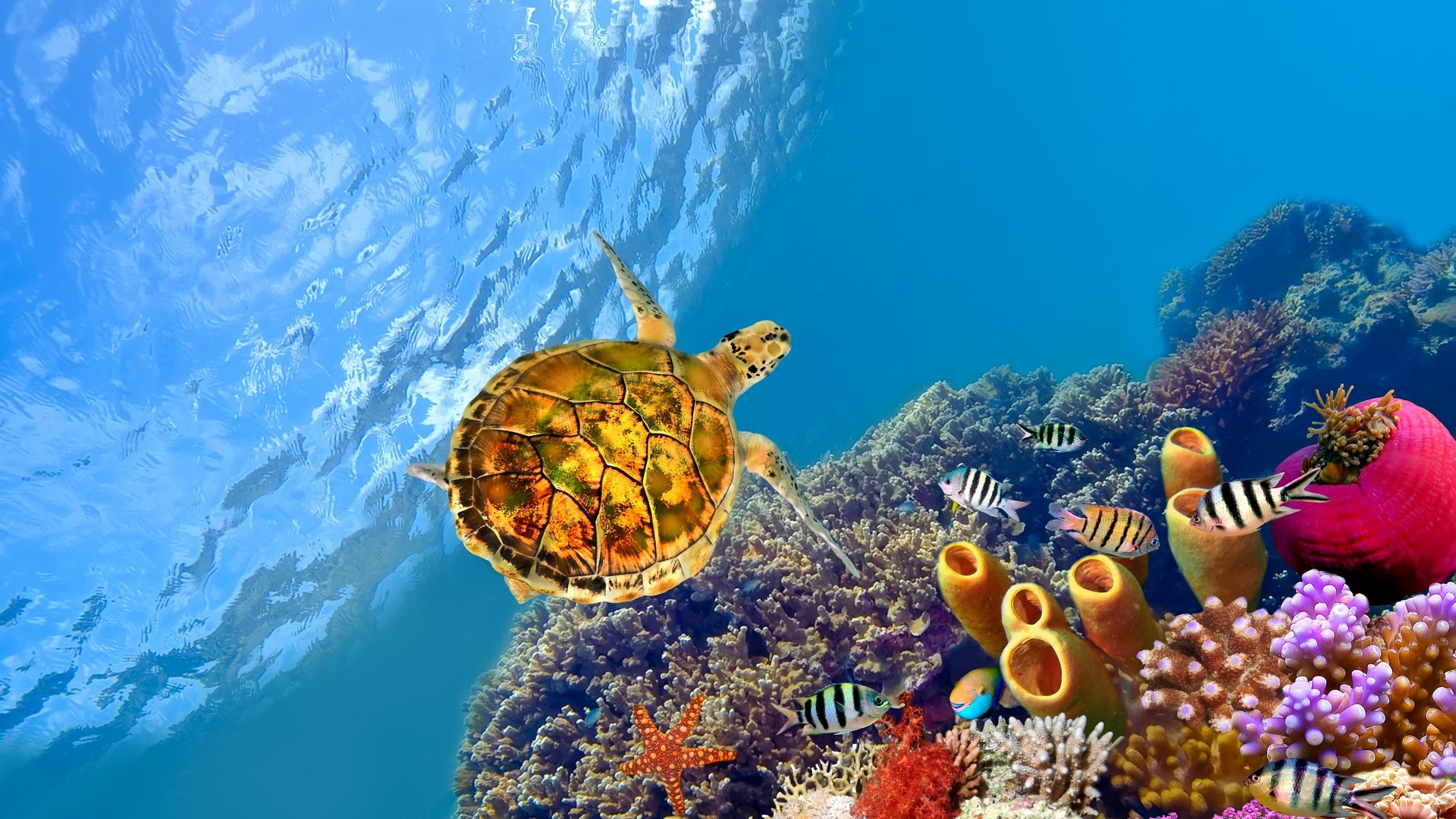  Windows  10  HD  Wallpapers  74 images 