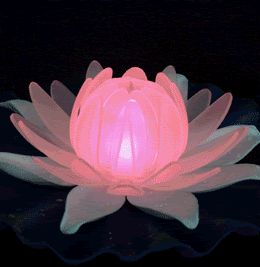 esoterico Pictures, Images and Photos