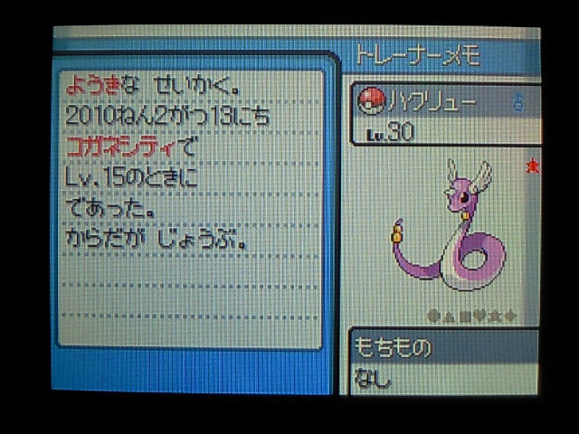景品色違いミニリュウ お馬さんの足音