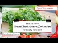 How to Store Green Dhania Leaves(Coriander/Cilantro) fresh for nearly 1 month/(ধোনে পাতা দীর্ঘ সময়ে র জন্যে কি ভাবে সংগ্রহ করবেন)? | Cooking Tips of The Week #2