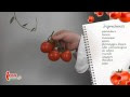 Pomodori ripieni: ingredienti